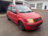 Fiat Panda 1.2 8V Dynamic - Fiat Panda Gebrauchtwagen in Karlsruhe