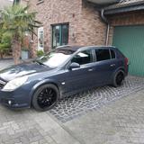 Opel Signum 1,9 cdti - Opel Signum aus 2008