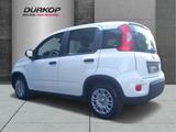 Fiat Panda 1.0 GSE Mild Hybrid DAB Spurhalteass. Verk - Fiat Panda in Magdeburg