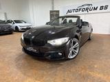 BMW Cabrio 420d AUTOMATIK/VOLLLEDER/GRA/SHZ/BI-XENON - BMW 420: Cabrio