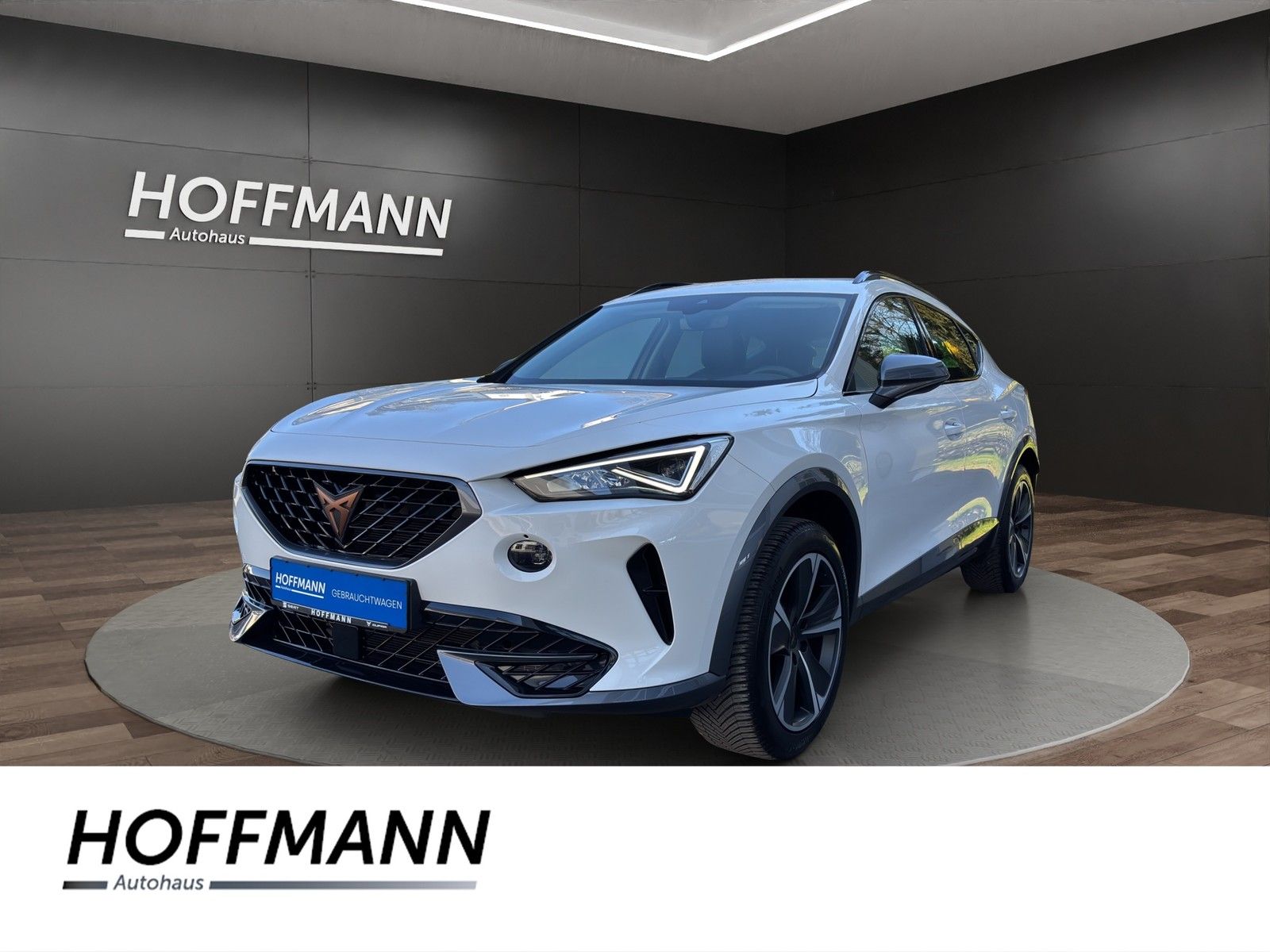 Fahrzeugbild von Cupra Formentor