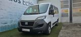 Fiat DucatoL1H1*9 Sitzer*Kamera*AHK*Navi*Standheizung - Fiat Ducato: 9