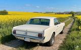 Ford Mustang * T67 * Liebhaberfahrzeug * 1966  - Ford Mustang aus 1966: Coupe