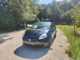 Fiat Punto 1.4 8V Dynamic Dynamic - Fiat Punto Dynamic mit Benzin-Antrieb