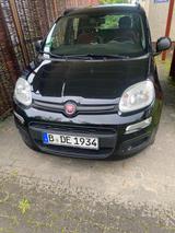 Fiat Panda 1,2 8V - Fiat Panda in Kiel