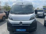 Opel Movano Kasten 2.2 Diesel L3H2 3,5t AT+Standheizu - Opel Movano Tageszulassungen