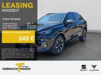 Cupra Terramar - Vorschau Bild 1