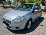 Fiat Punto 1.2 8V Active Active - Fiat Punto: Active