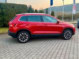 Skoda Karoq Drive 125 DSG ACC Kamera Canton Navi - gebrauchte Skoda Karoq aus dem Jahr 2020