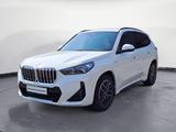 BMW X1 sDrive20i Aut. M Sportpaket Head-Up AHK LED K - BMW X1: M Sportpaket