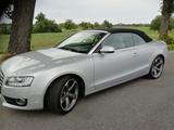 Audi A5 2.0 TDI (DPF) Cabriolet - - Audi A5 in Freiburg