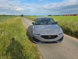 Cupra Leon 2.0 TSI 221kW VZ DSG VZ * 8 Fach bereift * - Cupra Leon in Hannover