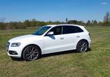 Audi SQ5 3,0TDi. Quattro  top Zustand TÜV ... - Audi A6 SUV