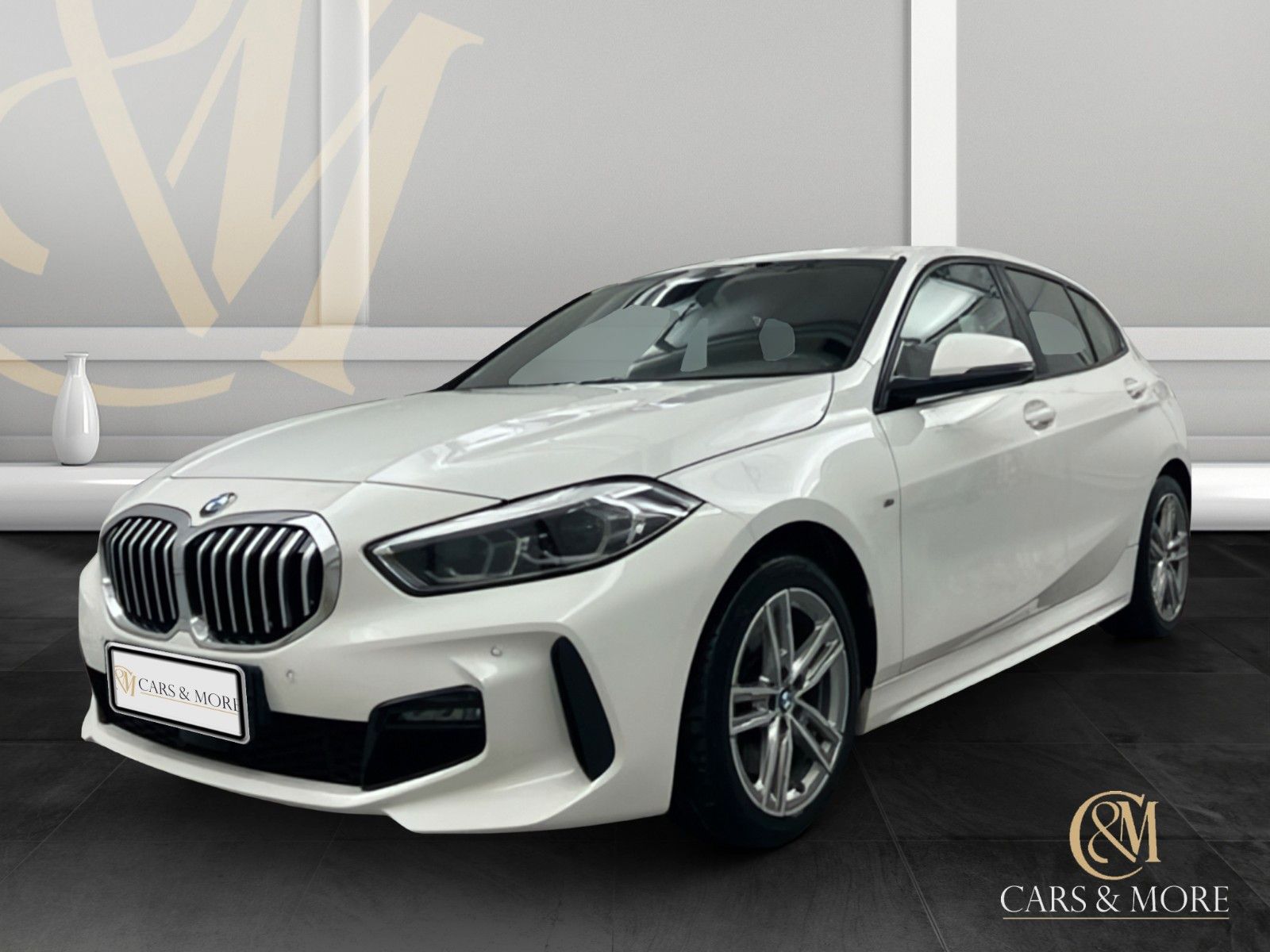 BMW 120 d M Sport T.Leder Navi SHZ LED PDC V&amp;H