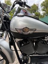 Harley-Davidson Heritage Springer FLSTS 2003 Llimitiert - Angebote