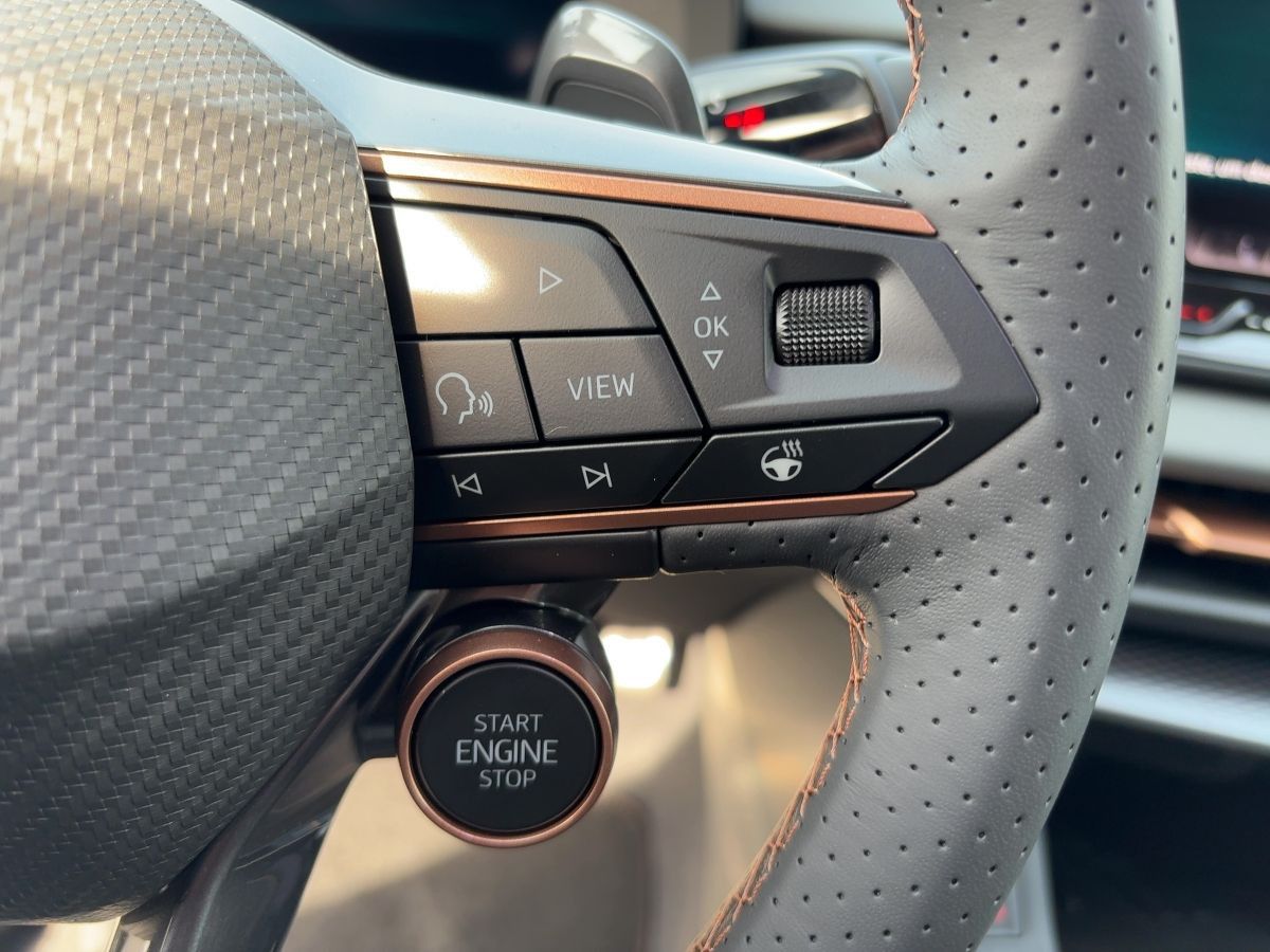 Cupra Terramar - Bild 14