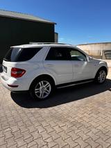 Mercedes-Benz ML 300 CDI 4MATIC BlueEFFICIENCY - - Mercedes-Benz ML 300: Cdi 4matic