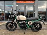 Royal Enfield Bear 650 Two Four Nine - ROYAL ENFIELD MOTORRAD