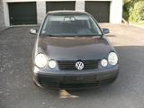 Volkswagen Polo Comfortline 1,2 64PS Benzin 4.trg. - Volkswagen Polo aus 2004: 1.6