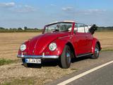 Volkswagen Käfer Cabrio - Bj. 1964 - Volkswagen Käfer: Rot