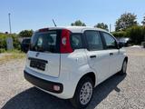 Fiat Panda Easy * Klima* - Fiat Gebrauchtwagen von 2020