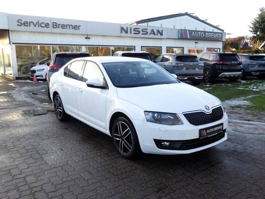 Fahrzeugabbildung SKODA Octavia 1,8 TSI 4*4 DSG    L&K  Standheizung