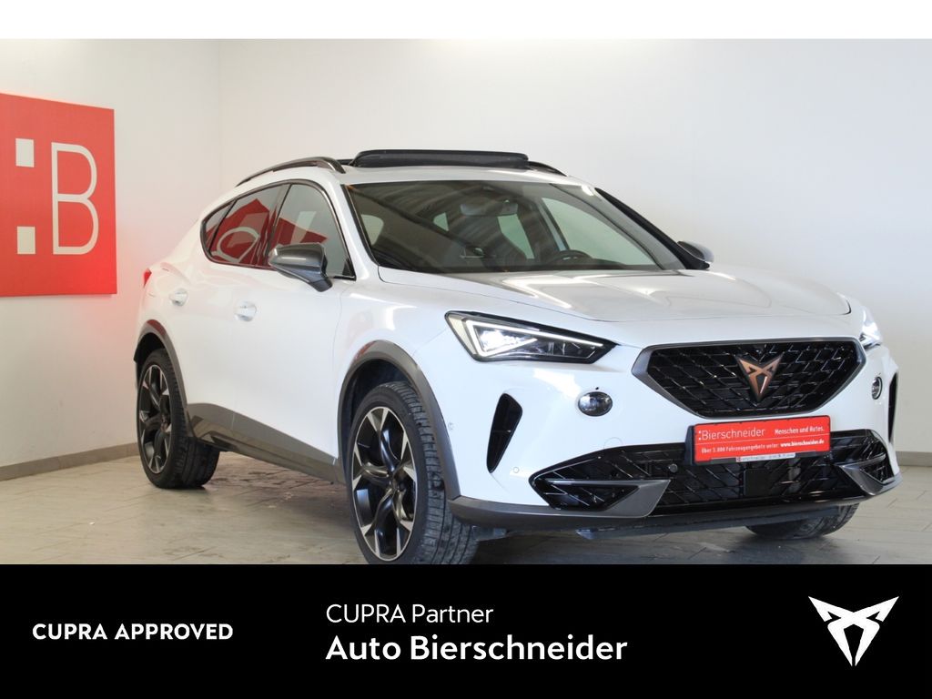 Formentor 2.0 TSI DSG 4Dr. VZ 19 MATRIX AHK PANO