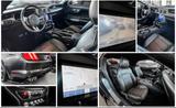 Ford Mustang Shelby GT500 Optik Premium +Dashcam 2x4K - Ford: Shelby