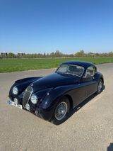 Jaguar XK120 Fixed Head Coupé - Jaguar XE in Düsseldorf
