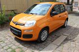 Fiat Panda Easy 1.2 ESP Klima Euro 6 dTemp - Fiat: Orange