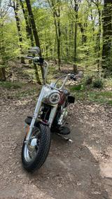 Harley-Davidson FLSTC - Custom Bike - Angebote