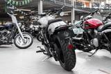 Benda Chinchilla 500, sofort lieferbar, Lieferservice - MOTORRAD VON 251 BIS 500 CCM