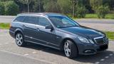 Mercedes-Benz E 250 CDI T BlueEFFICIENCY AVANTGARDE AVANTGARDE - Mercedes-Benz E 250 aus 2010: Cdi