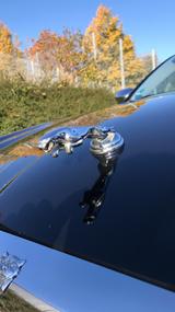Jaguar XJ8 4.2 Liter Executive Executive - Jaguar XJ8 Gebrauchtwagen