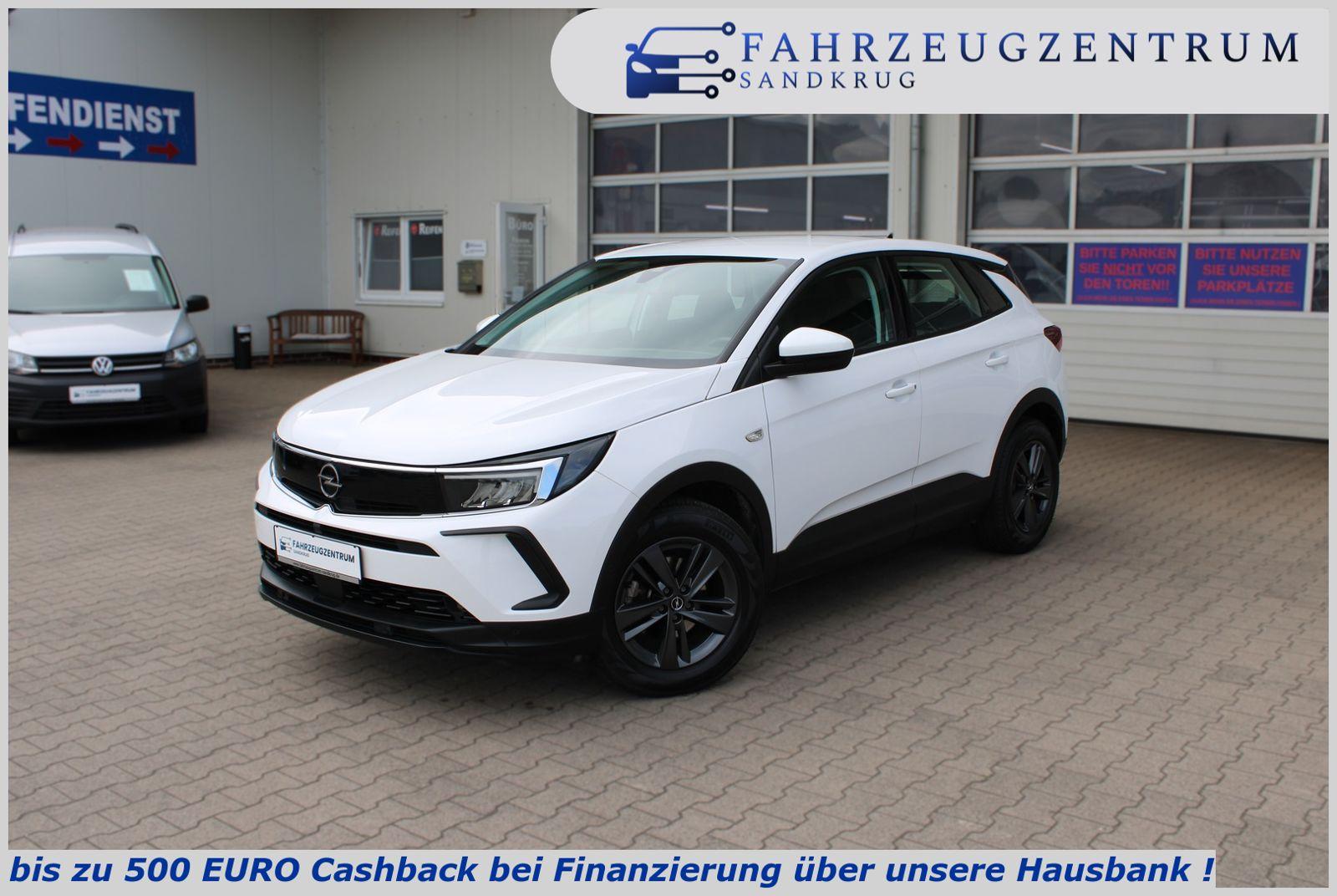 Opel Grandland EDITION 1.HAND BLIS/SPUR/ACC/PDC/KLIMA