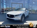 Mazda CX-30 2.0L (186PS) Schalter Homura Sitzheizung N - Mazda CX-30 Neuwagen