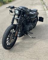 Harley-Davidson sportster 883 iron  - Angebote