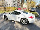 Porsche Cayman 2.9 (987.2)  BJ2009  sehr gepflegt - Porsche Gebrauchtwagen in München