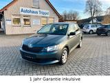 Skoda Fabia Cool Edition 1.Hand EURO 6  8-Fach bereift - Skoda Fabia: Eu