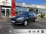Ford Fiesta 1.25 Trend Ideales Anfänger / Winterauto - Ford Fiesta Trend mit Benzin-Antrieb