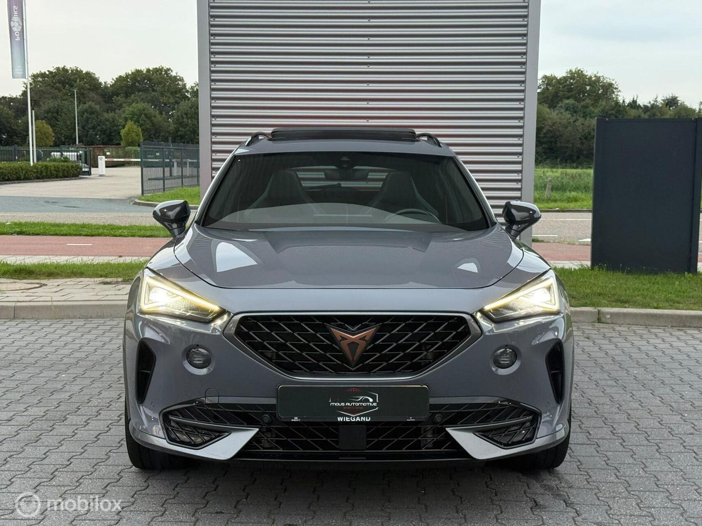 Cupra Formentor 2.0 TSI 4DRIVE imagem 3