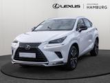 Lexus NX 300h Style Edition LENKRADHZ. LED TWW