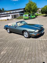 Jaguar XJS - Jaguar XJS von privat
