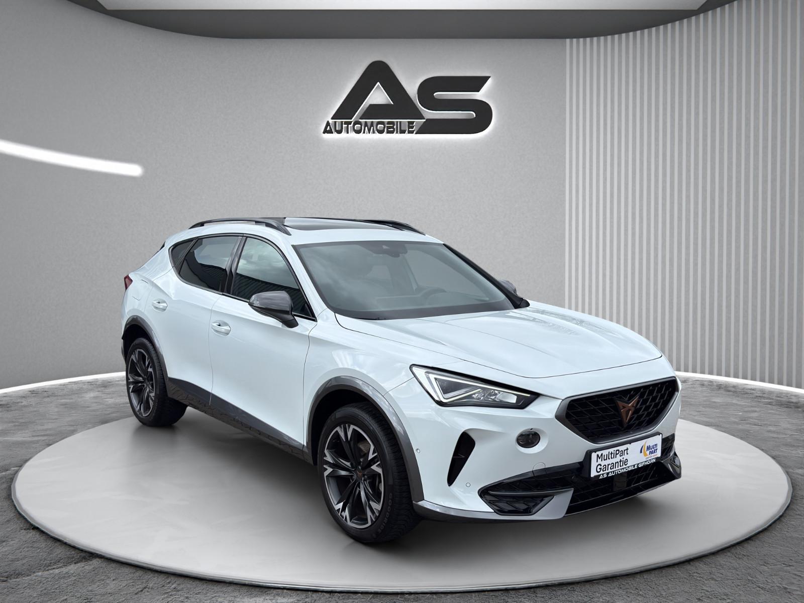 Cupra Formentor 1.5 TSI Navi Pano R.Kamera 18" LED