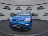 Fiat Panda 1,0 Hybrid PDC TFT Tacho Klima Bluetooth - Fiat Panda: Allradantrieb