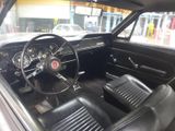Ford Mustang - Ford Mustang: Limousine