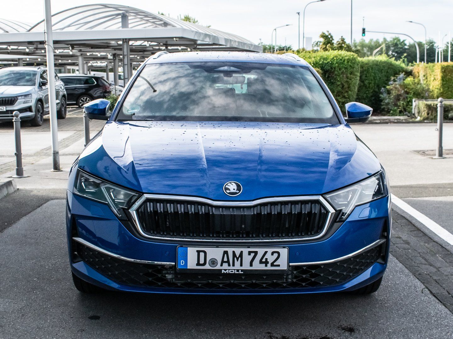 Skoda Octavia - Bild 4