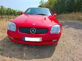 Mercedes-Benz SLK 230 KOMPRESSOR - - Mercedes-Benz SLK 230: Rot