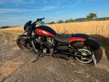 Harley-Davidson VRSCDX - HARLEY-DAVIDSON VRSCDX