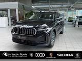 Skoda Kodiaq Selection 2,0 TDI 110 kW 7-Gang-DSG sofor - Skoda Kodiaq in Saarbrücken